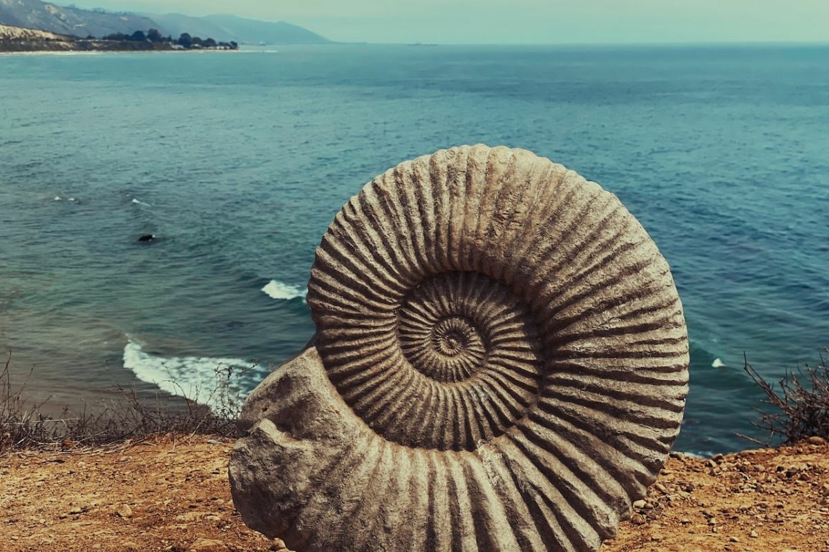 Fossil with seaside behind it