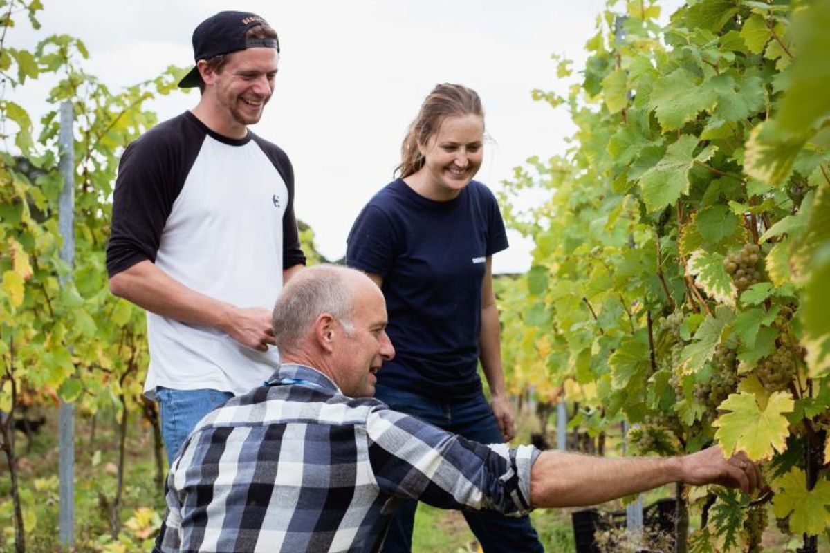 FE News | NFU Mutual Launches £5,000 Sustainability Bursary For Wine ...