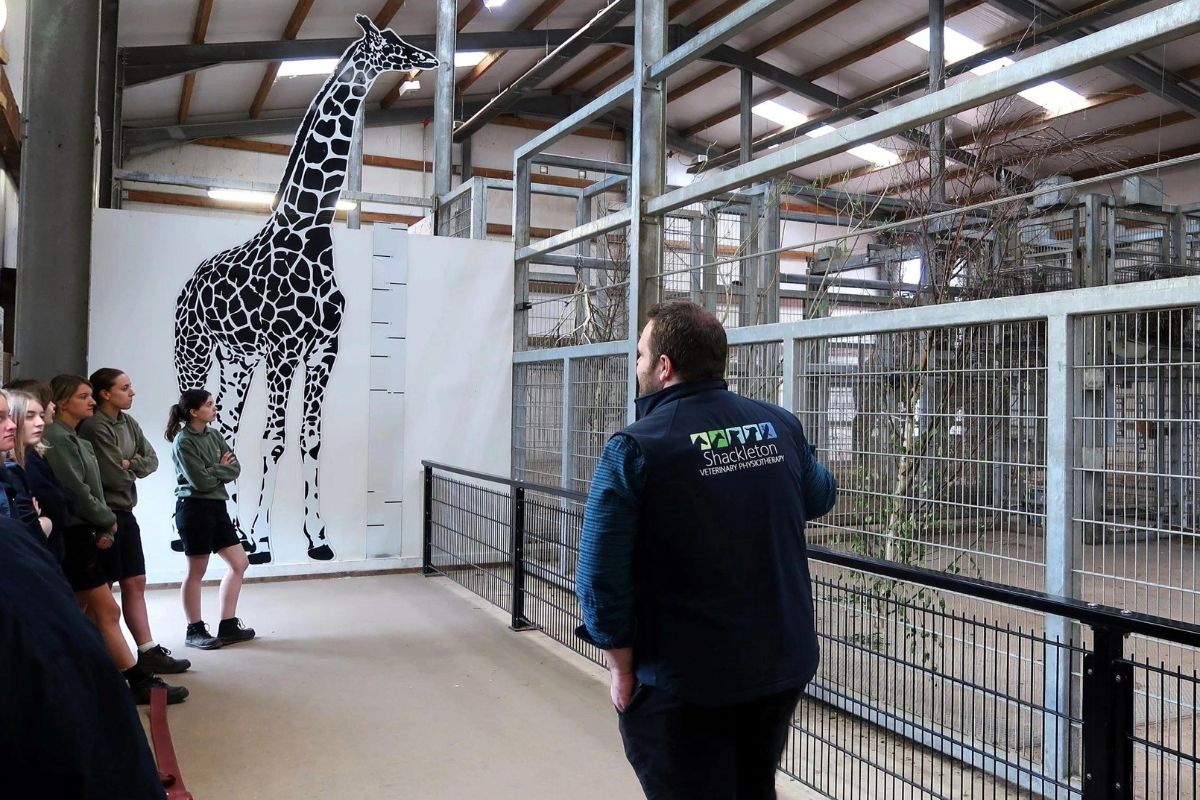 Animal therapist holds lameness workshop for zookeepers at popular wildlife park